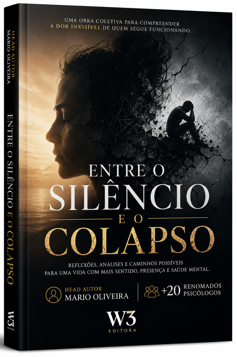 Capa de Entre o Silêncio e o Colapso